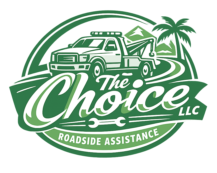 The Choice Llc Logo